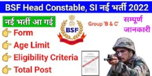 BSF Group B&C Recruitment 2022