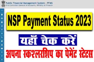 NSP Payment Status 2023