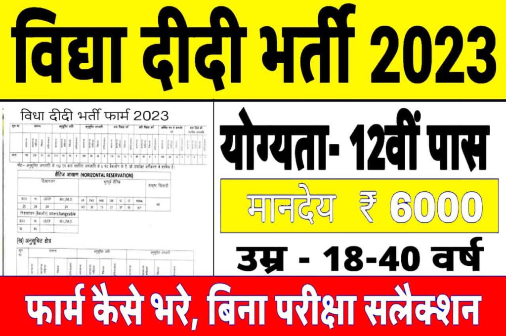 Bihar Vidya Didi Vacancy 2023