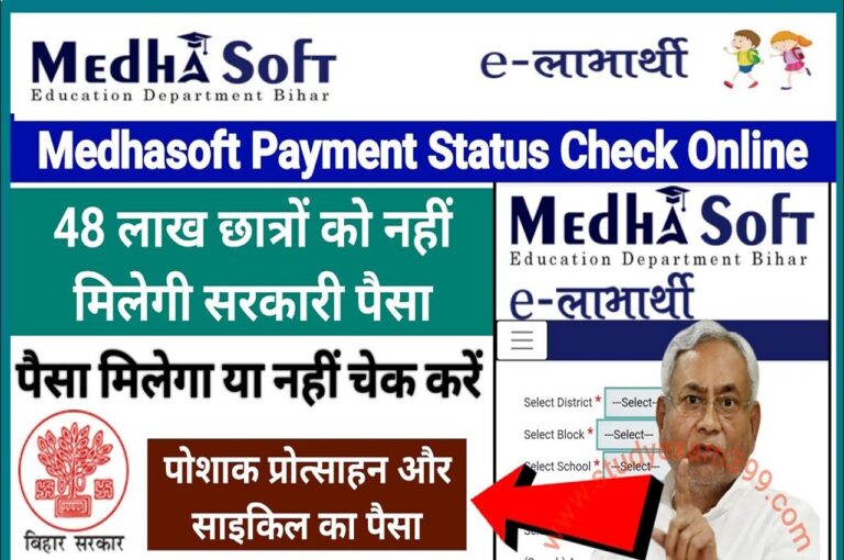 Medhasoft Payment Status