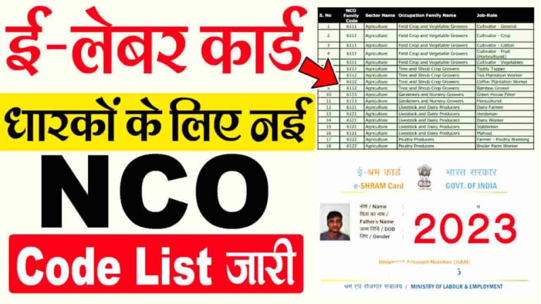 E Shram Card Code List