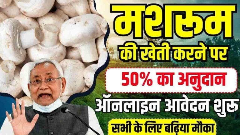 Bihar Mushroom Farming Subsidy Scheme 2024