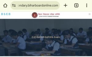 Bihar Deled Dummy Admit Card 2025