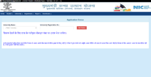 Official Website Status Check Page